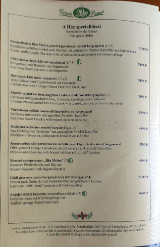 Ilka Csárda Panzió - Vendéglátás