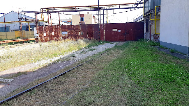 Paprika Önkiszolgáló Étterem - Vendéglátás