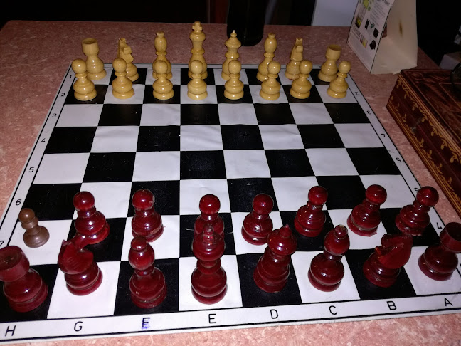 Gól Söröző és Pizzéria - Vendéglátás