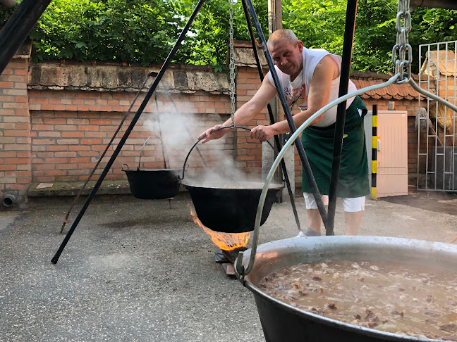 Comentarii opinii despre Anna Falatozó