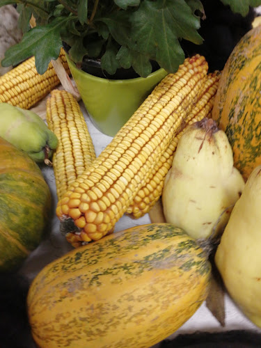 Opinii despre Fitt Söröző în Sásd - Vendéglátás