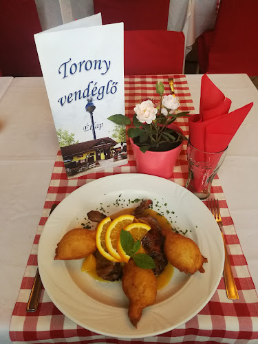 Opinii despre Torony Kertvendéglő în Szigetmonostor - Vendéglátás