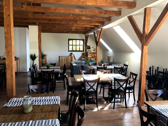 Pancser Pizza és Étterem - Vendéglátás