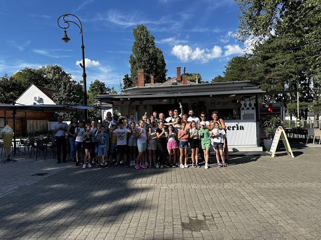 Pelso GELATERIA Kft - Vendéglátás