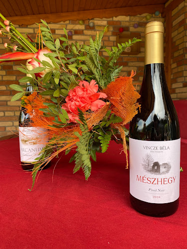 Mészhegy Borászat - Eger