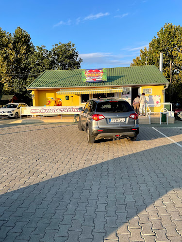 Újfehértó, Gárdonyi Géza u. 13, 4244