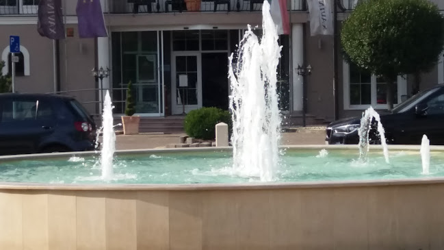 Comentarii opinii despre Bor Galéria