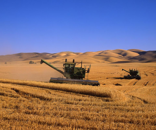 Opinii despre Gugyori Kocsma în Visznek - Vendéglátás