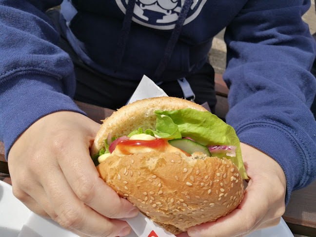 Bambusz söröző - Vendéglátás