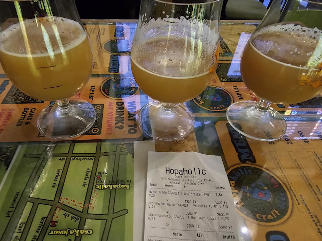 Opinii despre HOPAHOLIC Craft Beer Bar & Food Budapest în Budapest - Vendéglátás