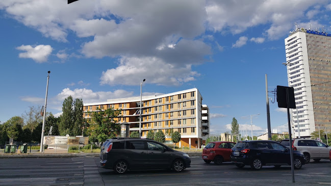 Bereket Pékség & Kávézó - Vendéglátás