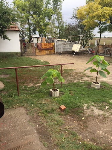 Nagy Kft. - Kecskemét