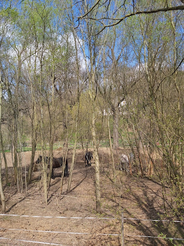 Szendehely, Düllő út 2, 2640 Magyarország