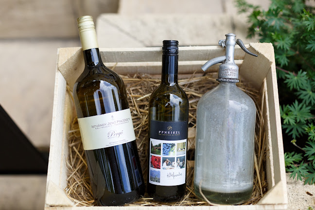 Comentarii opinii despre Borháló Borsod