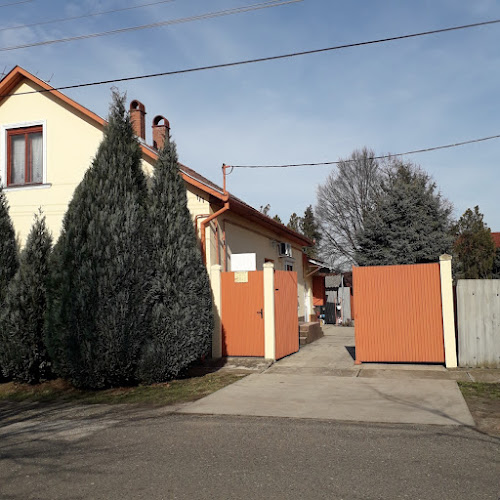 Gyöngy cukrászda - Vendéglátás