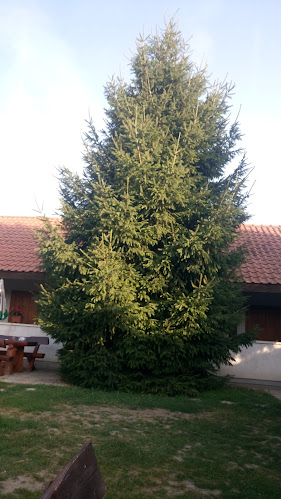 Comentarii opinii despre Kisparaszt kocsma