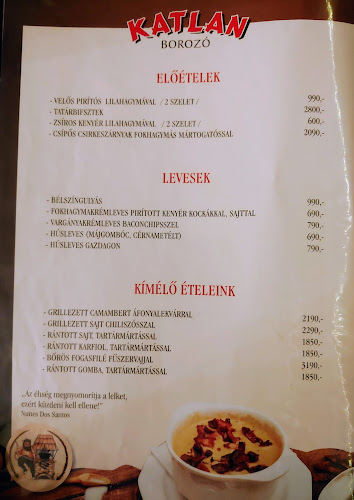 Opinii despre Katlan Borozó în Sopron - Vendéglátás
