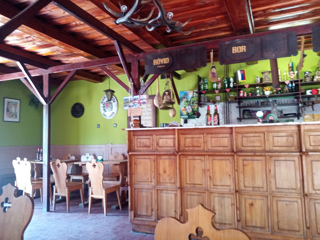 Pilisszentlászló, Béke u. 8, 2009