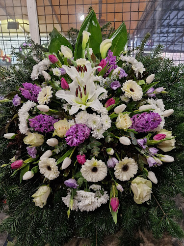 Budapest, Megyeri út 49, 1044