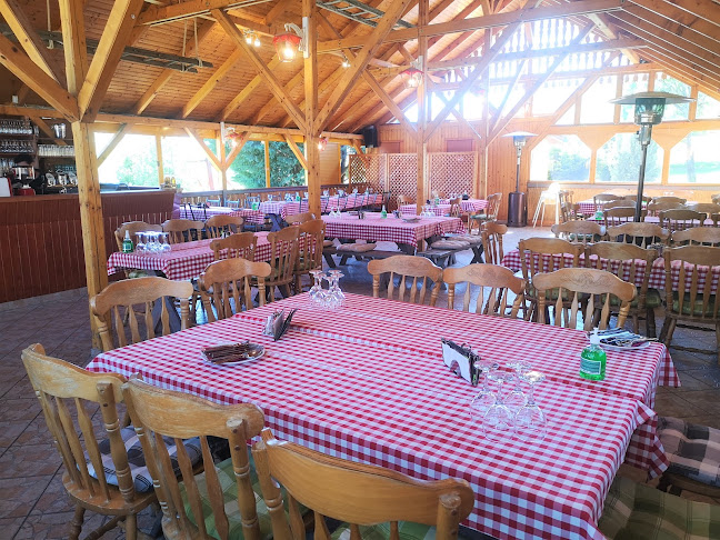 Dorog Tömedék akna 5113hrsz, 2510