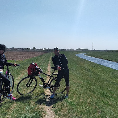 Comentarii opinii despre Fehér Sólyom Presszó