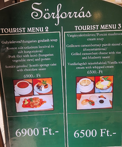 Opinii despre Sörforrás étterem în Budapest - Vendéglátás