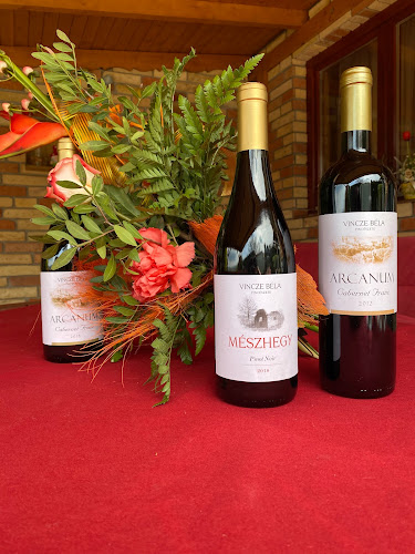 Eger, Váci Mihály u. 65, 3300