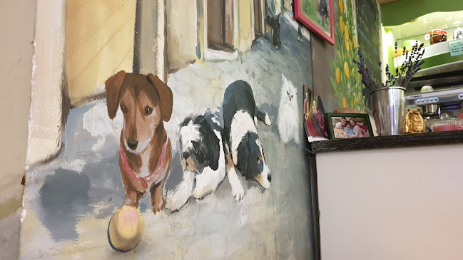 Artigiana Gelati - Vendéglátás