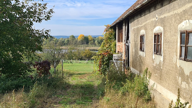 Comentarii opinii despre Presszó
