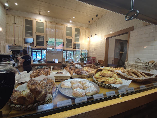 Comentarii opinii despre Pallag Spájz