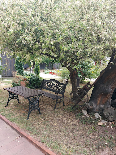 Comentarii opinii despre Régi Csárda Panzió