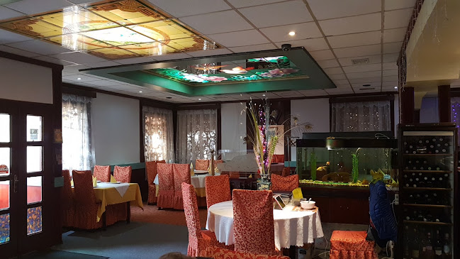 Arany Főnix Grill És Wok Étterem - Vendéglátás