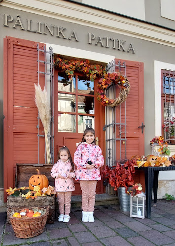 Comentarii opinii despre Pálinka Patika - Bár és Kávézó