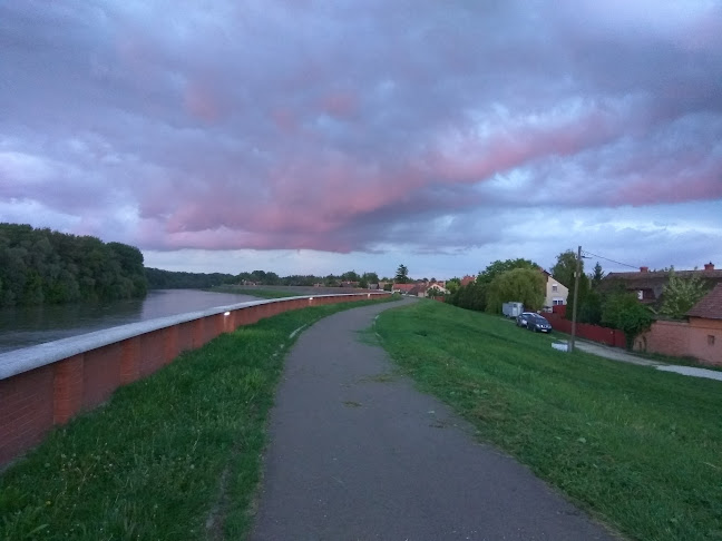 Opinii despre Belvárosi Pékség Bt. în Csongrád - Vendéglátás