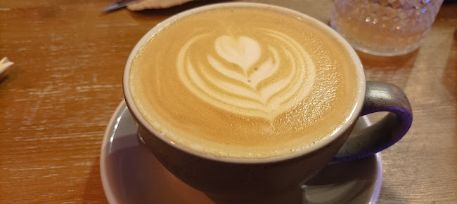 Comentarii opinii despre Pajti