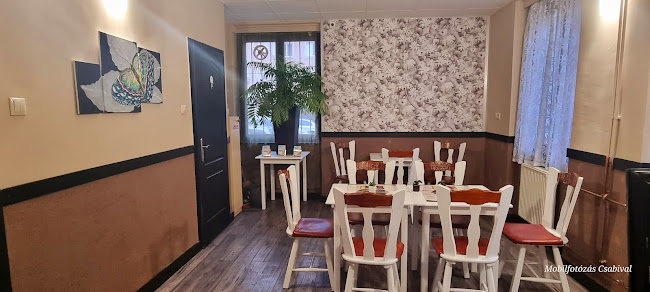 Csacska Macska Csecse-becse - Vendéglátás