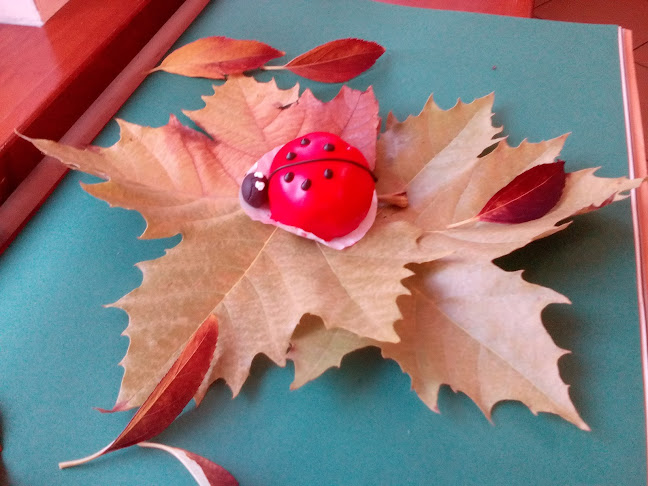 Balázs Kávézó Cukrászda,Kisvendéglő - Vendéglátás