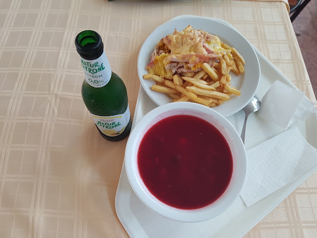 Comentarii opinii despre Vándorsólyom kFT