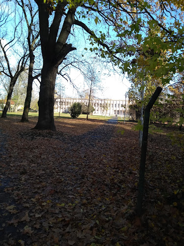 Park Presszó - Vendéglátás