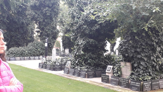 Opinii despre pizzo_deli în Budapest - Vendéglátás