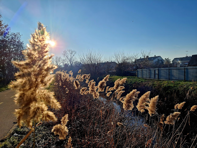 Opinii despre Rákos Vendégház în Pomáz - Vendéglátás