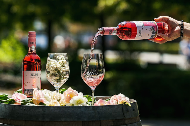 DiVino Wine Bar and Store