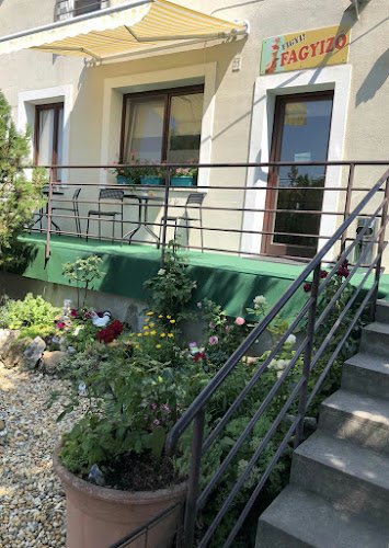 Figyi Fagyizó - Vendéglátás