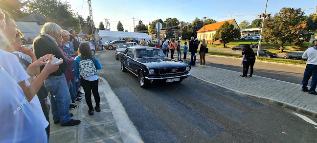 Gomba presszós - Mernye