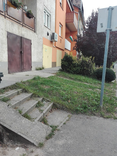 Oázis fagylaltozó - Vendéglátás