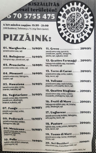 Pronto Pizza Üzem