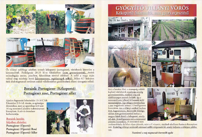 Baumstark pince - Budapest