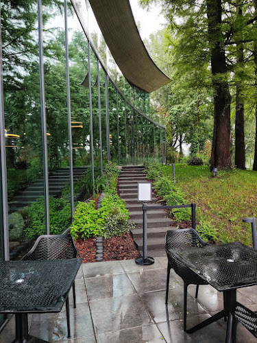 Opinii despre Újváros Bisztró - innovatív kortárs magyar étterem în Szarvas - Vendéglátás