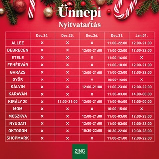 Opinii despre ZING BURGER & Co. | Király 20 în Budapest - Vendéglátás