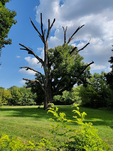 Comentarii opinii despre Fóti Kastély Étterem